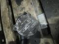 насос вакуумный Mercedes-Benz C-Класс W203/S203/CL203 2003, 2.2 л., дизель, АКПП, универсал, A6462300165 - фото №2