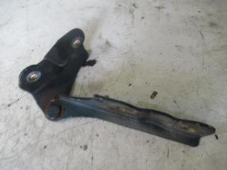 петля капота Hyundai Terracan 1 поколение 2004, 2.9 л., дизель, МКПП, внедорожник 5 дв.