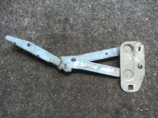 петля капота Fiat Scudo 1 поколение 2000, 2.0 л., дизель, МКПП, микроавтобус