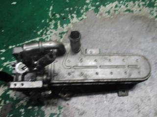 клапан EGR Volkswagen Golf 3 поколение 1999, 1.9 л., дизель, 038131513D