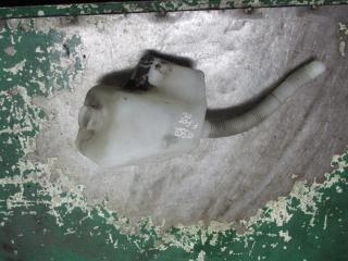 бачок омывателя Ford Focus 2 поколение [рестайлинг] 2009, 1.8 л., бензин, МКПП, универсал, 3M5117618A