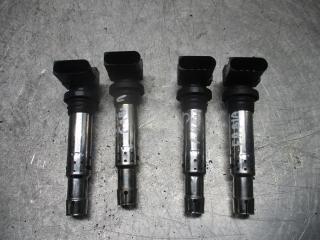 катушка зажигания Skoda Fabia 1 поколение [рестайлинг] 2006, 1.2 л., бензин, МКПП, хетчбэк 5 дв., 036905715C