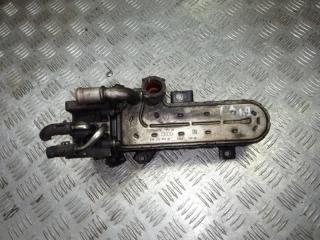 радиатор (основной) Volkswagen Golf 4 поколение 2006, 1.9 л., дизель, 038131513AD, EGR