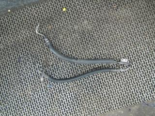 шланг гидроусилителя Mercedes-Benz C-Класс W203/S203/CL203 [рестайлинг] 2004, 3.0 л., дизель, АКПП, универсал