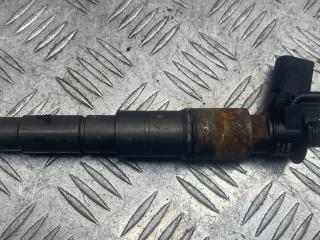 форсунка BMW X3 E83 [рестайлинг] 2008, 3.0 л., M57N 306 D5, дизель, 7796042