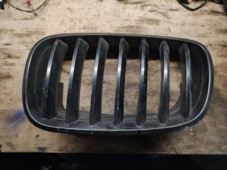 решетка капота BMW X5 E70 2007, 4.8 л., N62 B48 A, бензин, 7171395