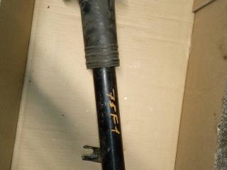 амортизатор задний левый BMW X5 E70 2008, 3.0 л., N52 B30 AF, бензин, АКПП, внедорожник 5 дв., 22244965