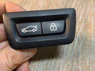 кнопка открытия багажника BMW 2012, 2.0 л., N47 D20 C, дизель, АКПП, седан, правый руль, 61319162645