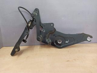 петля капота правая BMW X5 E70 2009, M57 D30 (306D3), 7208628