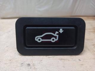 кнопка открытия багажника BMW X5 E70 2009, M57 D30 (306D3), 8375580
