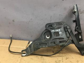 петля капота правая BMW X5 E70 2007, 3.0 л., M57 D30 (306D5), дизель, АКПП, внедорожник 5 дв., 7148348