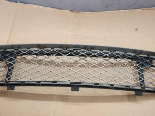 заглушка (решетка) в бампер BMW X5 E70 2007, M57 306 D3, АКПП