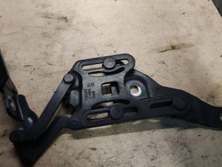 петля капота левая BMW X5 E70 2007, M57 306 D3, АКПП, 7148347