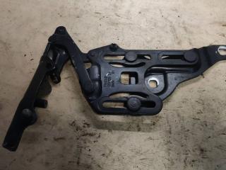 петля капота правая BMW X5 E70 2007, M57 306 D3, АКПП, 7148348