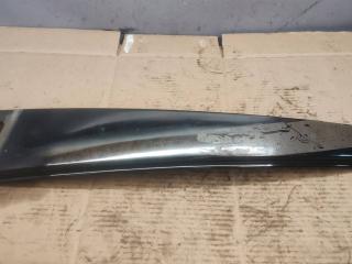 молдинг двери задней правой BMW X5 E70 2007, M57 306 D3, АКПП