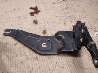 петля капота левая BMW X5 E70 [рестайлинг] 2011, 3.0 л., бензин, АКПП, внедорожник 5 дв., 7208627