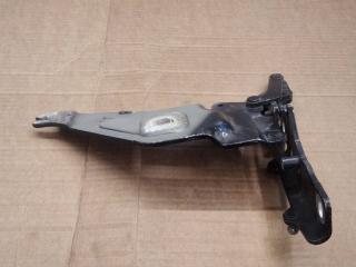петля капота правая BMW X5 E70 2009, 3.0 л., M57 D30 (306D5), дизель, АКПП, внедорожник 5 дв., 7208628