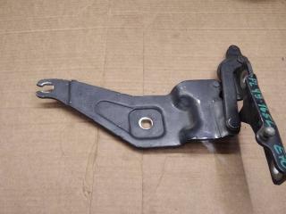 петля капота левая BMW X5 E70 2009, 3.0 л., M57 D30 (306D5), дизель, АКПП, внедорожник 5 дв., 7208627