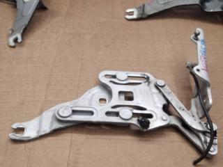 петля капота правая BMW X5 E70 2009, 3.0 л., дизель, АКПП, внедорожник 5 дв., 7148348