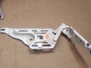 петля капота левая BMW X5 E70 2007, 4.8 л., бензин, АКПП, внедорожник 5 дв., 7148347