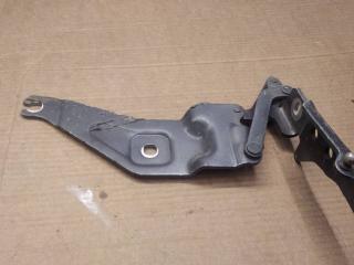 петля капота левая BMW X5 E70 2009, 3.0 л., дизель, АКПП, внедорожник 5 дв., 7208627