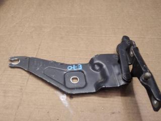 петля капота левая BMW X5 E70 2007, M57 D30 (306D3), АКПП, внедорожник 5 дв., 7208627