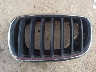 решетка капота BMW X5 E70 2009, M57 D30 (306D3), 7171395