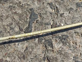 трос двери BMW X3 F25 2012, 2.0 л., дизель, 7319353