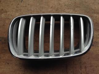 заглушка (решетка) в бампер BMW X5 E70 2008, M57 D30 (306D3), АКПП, внедорожник 5 дв., 7171395