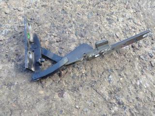 петля капота левая BMW 7 серия E65/E66/E67 [рестайлинг] 2007, 4.8 л., N62 B48 B, бензин, АКПП, седан, 8240333