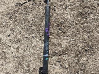 ограничитель открывания двери BMW 7 серия F01/F02 2009, 3.0 л., N57 D30 A, дизель, АКПП, седан, 51227177648, 7177648