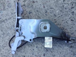 петля капота правая BMW X5 E70 [рестайлинг] 2011, 3.0 л., N57 D30 B, дизель, АКПП, внедорожник 5 дв., 7208628