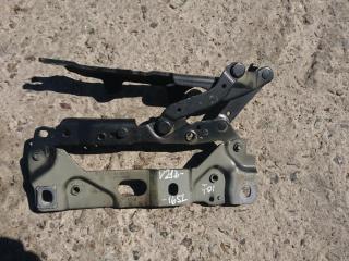 петля капота левая BMW 7 серия F01/F02 2010, 4.4 л., N63 B44 A, бензин, АКПП, седан, 7184189, 7200013