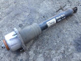 амортизатор задний левый BMW X5 E70 2007, M57 D30 (306D3), АКПП, внедорожник 5 дв., 6751923