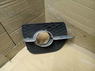 заглушка (решетка) в бампер BMW X6 E71/E72 2008