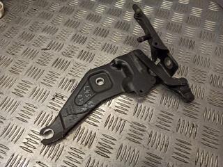 петля капота правая BMW X5 E70 2009, M57 D30 (306D3), АКПП, внедорожник 5 дв., 7208628