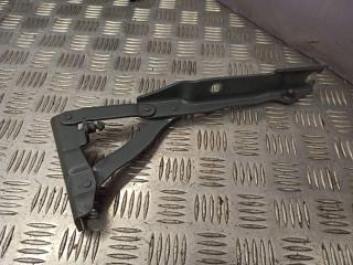 петля капота левая BMW 5 серия E60/E61 [рестайлинг] 2008, 3.0 л., N53 B30 A, бензин, АКПП, универсал, 7008727