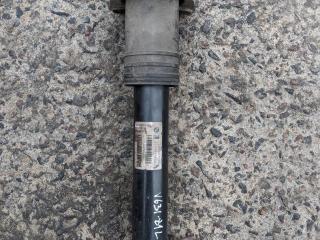 амортизатор задний левый BMW X5 E70 2009, 4.8 л., N62 B48 A, бензин, АКПП, внедорожник 5 дв.