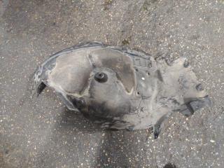 защита арок (подкрылок) BMW 7 серия G11/G12 2017, 3.0 л., дизель, 7340202