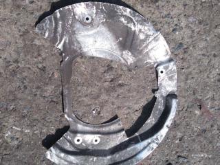 защитный кожух тормозного механизма BMW X5 E70 2008, 6789090