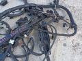 проводка двигателя BMW 2011, 2.5 л., N52 B25 AF, бензин - фото №5