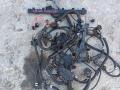 проводка двигателя BMW 2011, 2.5 л., N52 B25 AF, бензин - фото №9