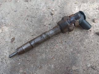 форсунка BMW 3 серия E90/E91 [рестайлинг] 2009, 2.0 л., N47 D20 C, дизель, 7798446