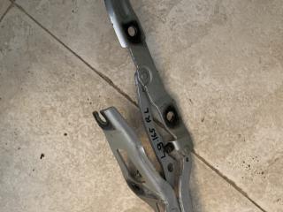 петля крышки багажника BMW 3 серия E90/E91/E92/E93 2007, 2.0 л., M47 D20 (204D4), дизель, АКПП, седан, 7060627