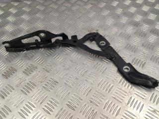 петля крышки багажника BMW 3 серия E90/E91/E92/E93 2007, 2.0 л., M47 D20 (204D4), дизель, АКПП, седан, 7060627