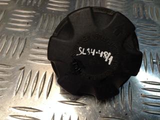 пробка расширительного бачка BMW X6 E71/E72 2008, M57 D30 (306D3), АКПП, внедорожник 5 дв.