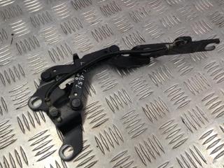 петля капота левая BMW 3 серия E90/E91 [рестайлинг] 2010, 3.0 л., N57 D30 A, дизель, АКПП, купе, 7115263