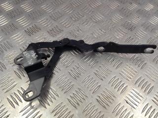 петля капота правая BMW 3 серия E90/E91 [рестайлинг] 2010, 3.0 л., N57 D30 A, дизель, АКПП, купе, 7115264