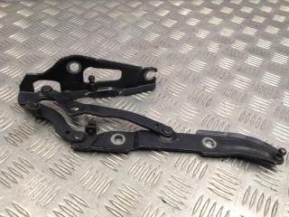 петля крышки багажника BMW 3 серия E90/E91 [рестайлинг] 2010, 2.0 л., N43 B20 A, бензин, АКПП, седан, 7060628