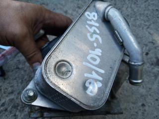 теплообменник масляного фильтра BMW 5 серия E60/E61 2006, 2.5 л., N52 B25 A, бензин, АКПП, универсал